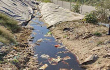 你對黄瓜视频APP下载滲濾液還存在怎樣的誤區？